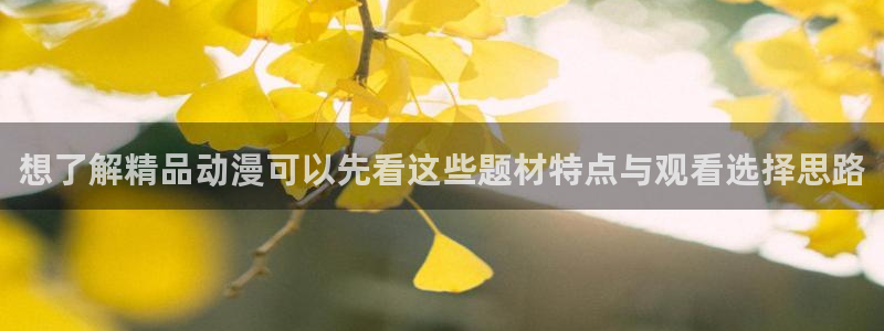 漫蛙动画