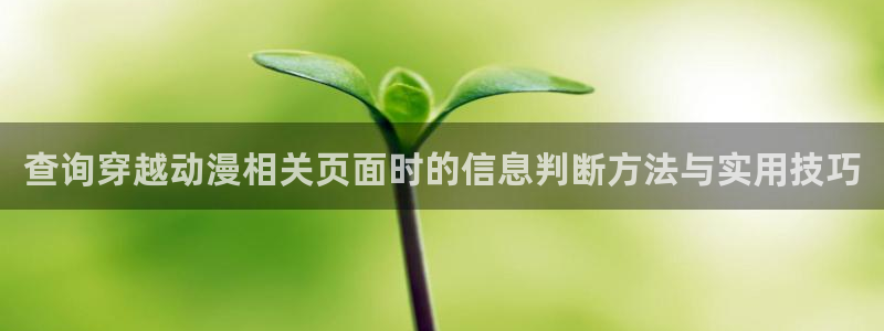 禁漫动漫免费:查询穿越动漫相关页面时的信息判断方法与实用技巧